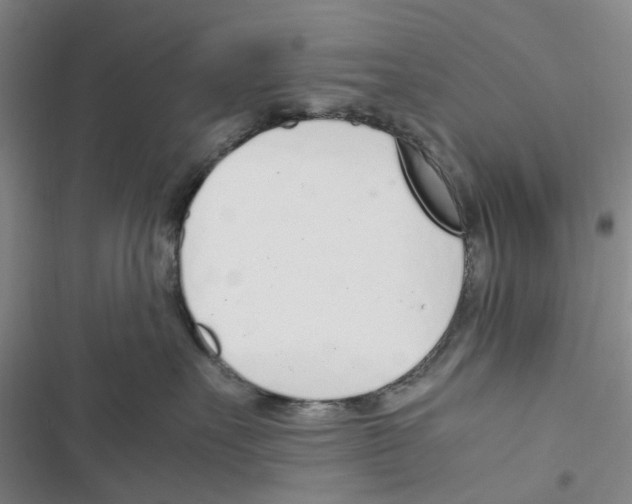 X0000116820527201001151207