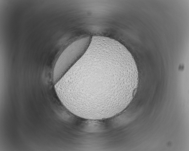 X0000116820528201001151207