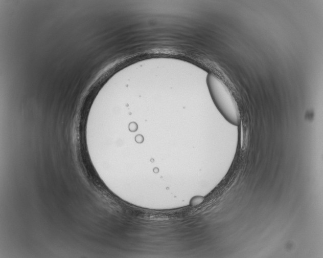 X0000116820531201001151207