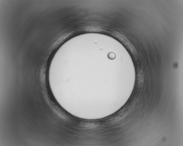 X0000116820533201001151207