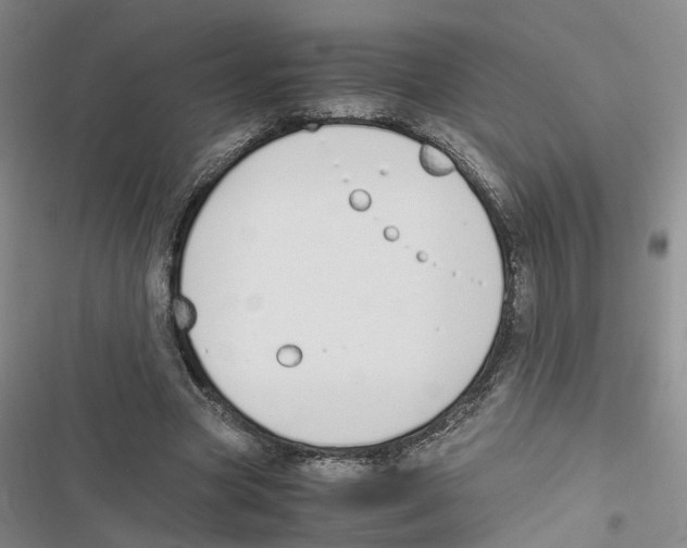 X0000116820537201001151207