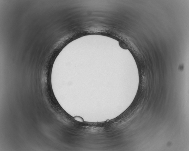 X0000116820539201001151207