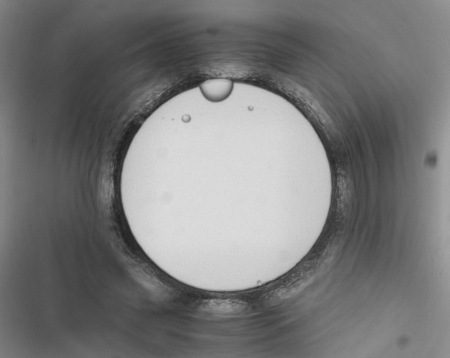 X0000116820541201001151207