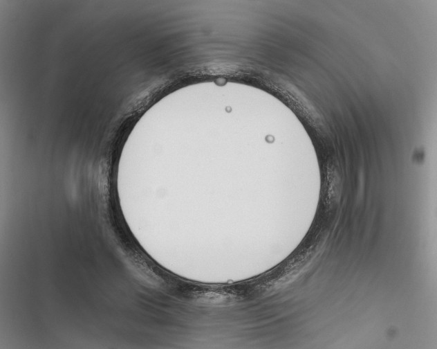 X0000116820542201001151207