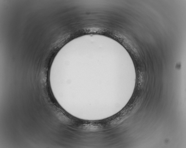 X0000116820545201001151207