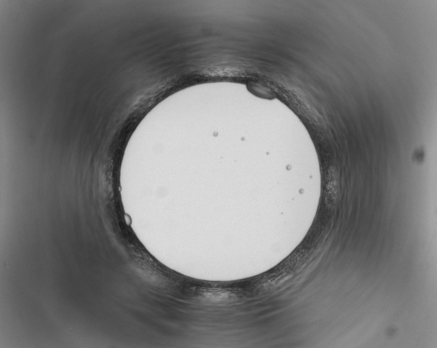 X0000116820547201001151207