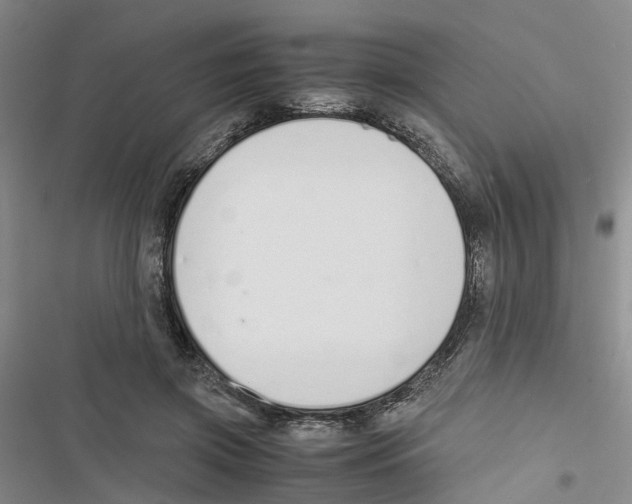 X0000116820549201001151207