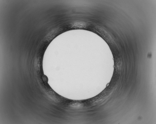 X0000116820551201001151207