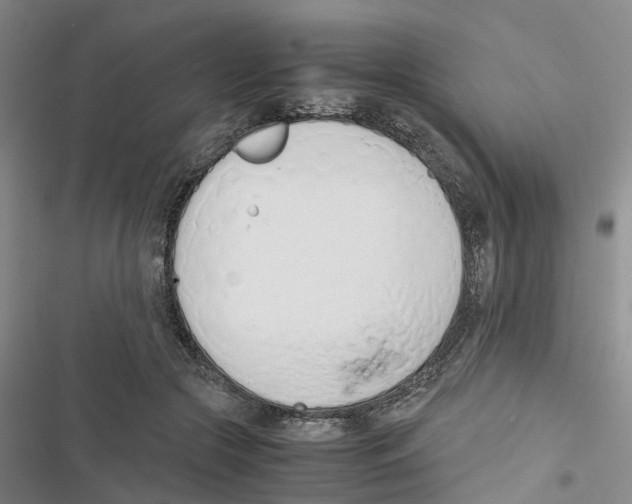 X0000116820553201001151207