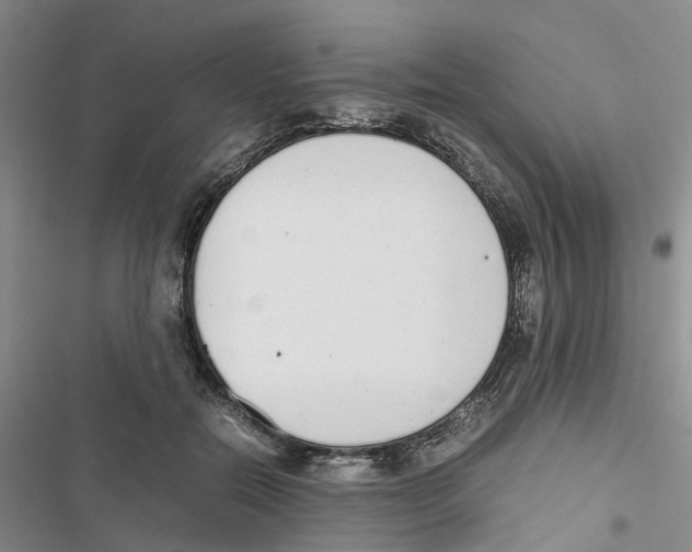 X0000116820554201001151207