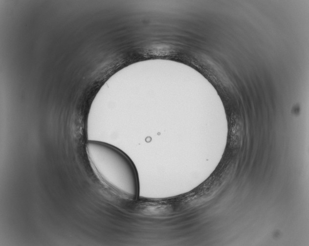 X0000116820555201001151207