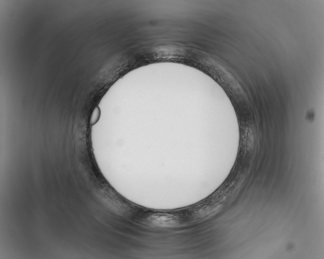 X0000116820557201001151207