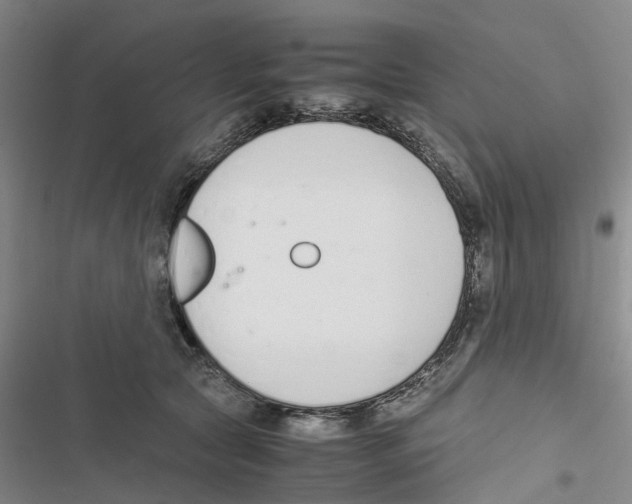 X0000116820561201001151207