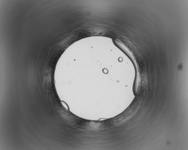 X0000116820570201001151207