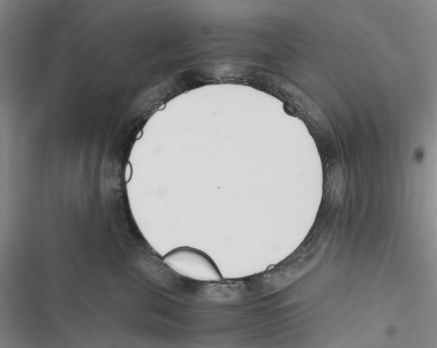 X0000116820571201001151207