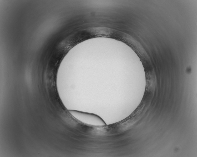 X0000116820573201001151207