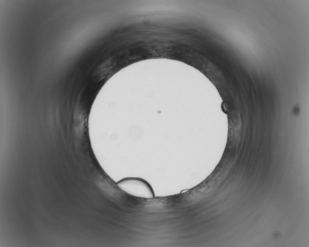 X0000116820574201001151207