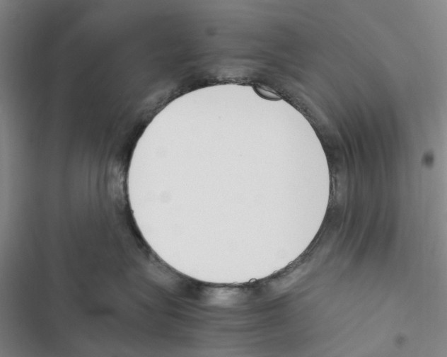 X0000116820575201001151207