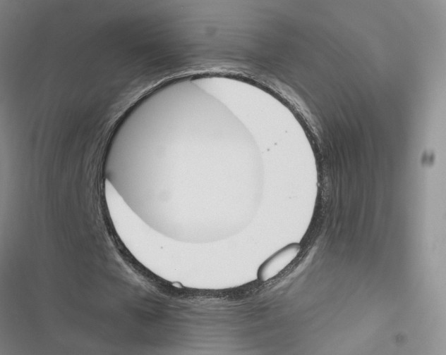 X0000116820577201001151207