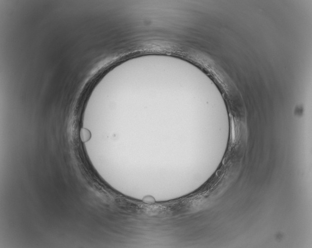 X0000116820579201001151207