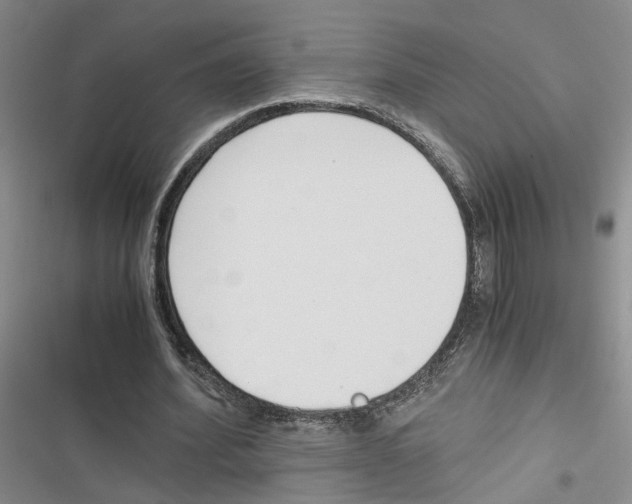 X0000116820580201001151207