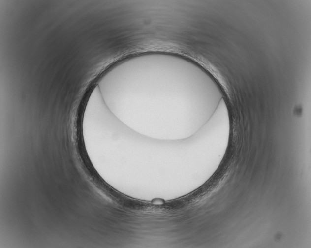 X0000116820581201001151207