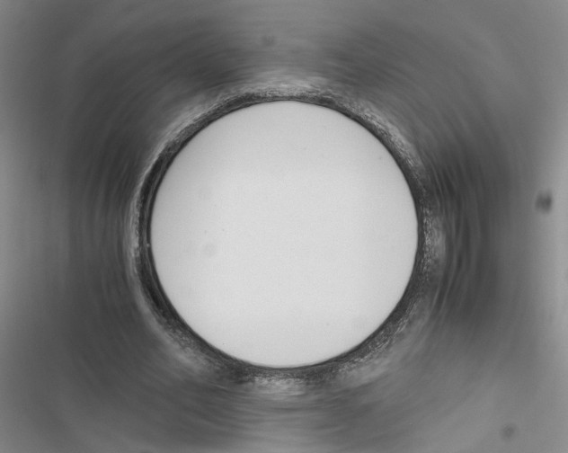 X0000116820582201001151207