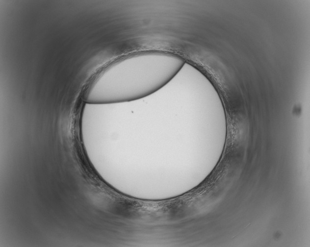 X0000116820583201001151207