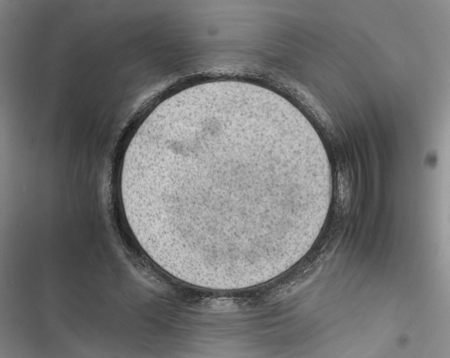 X0000116820588201001151207