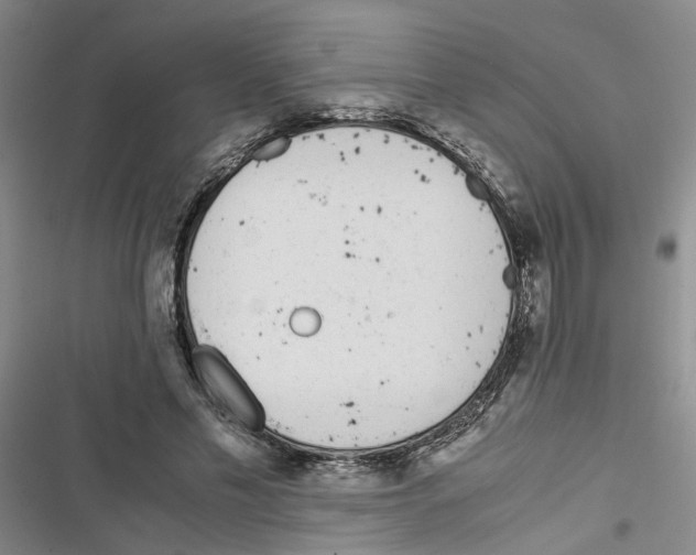 X0000116820589201001151207