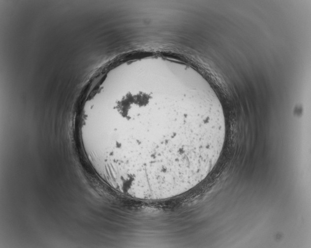 X0000116820592201001151207