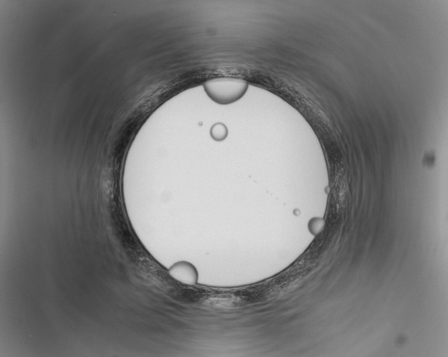 X0000116820595201001151206