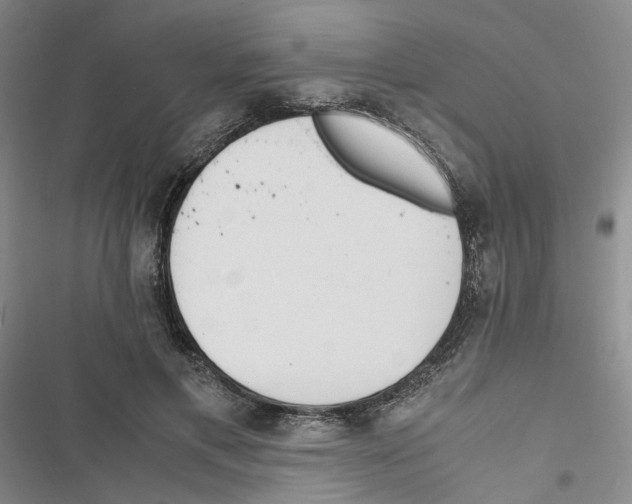 X0000116820597201001151206