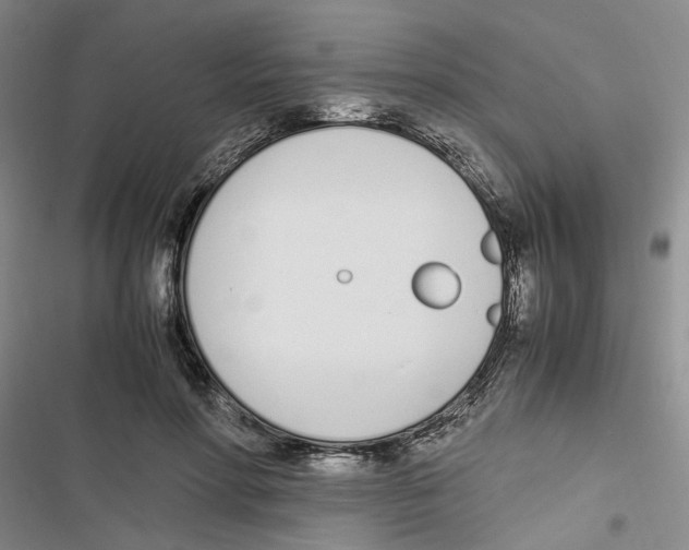 X0000116820598201001151206