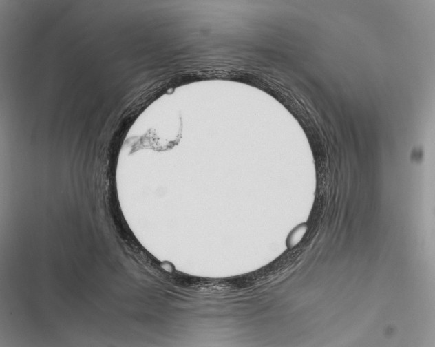 X0000116820599201001151206