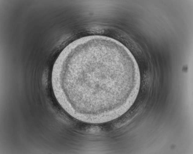 X0000116820600201001151206