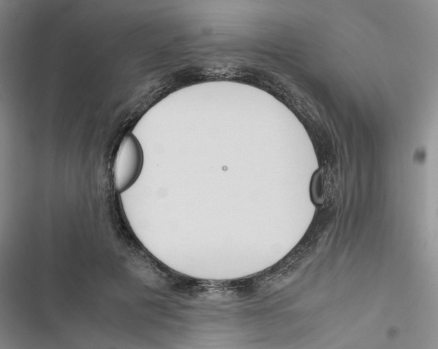 X0000116820601201001151206