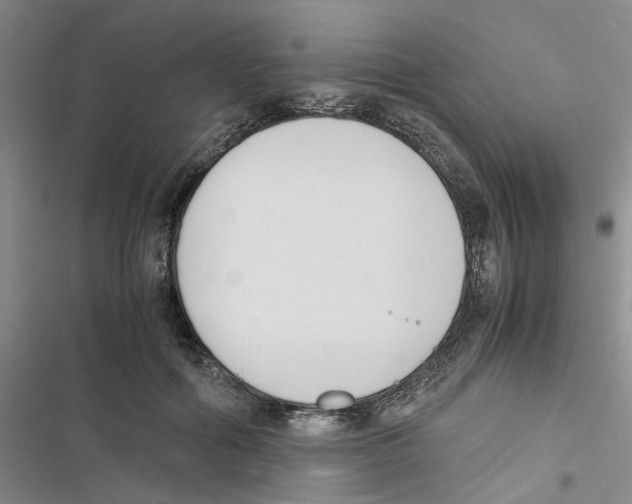 X0000116820602201001151206