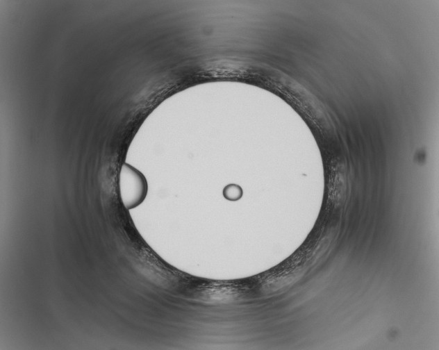 X0000116820604201001151206