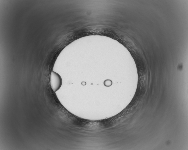 X0000116820609201001151206