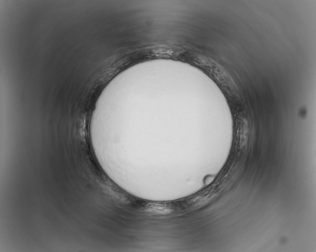 X0000116820610201001151206