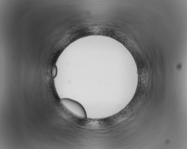 X0000116820611201001151206