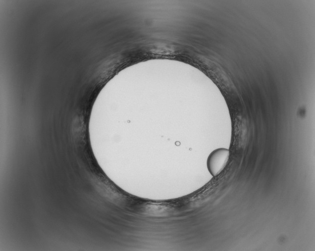 X0000116820614201001151206