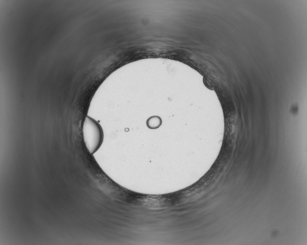 X0000116820615201001151206