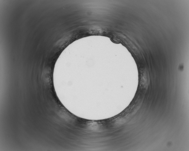 X0000116820616201001151206