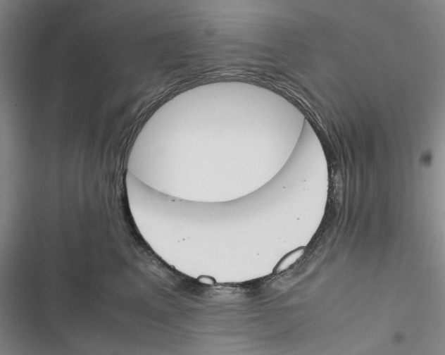 X0000116820617201001151206