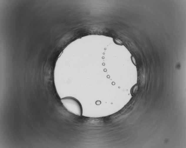 X0000116820619201001151206