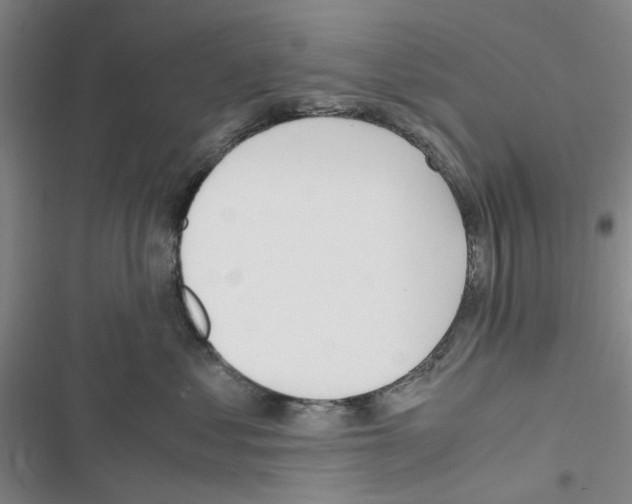 X0000116820621201001151206