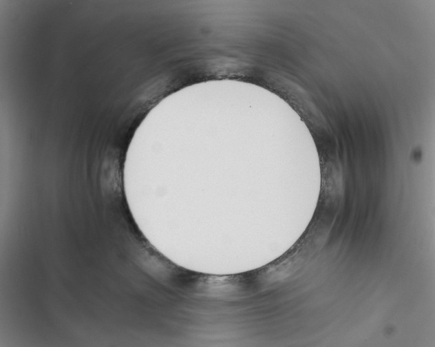 X0000116820622201001151206