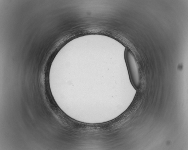 X0000116820626201001151205